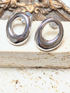 Brinco ECHO